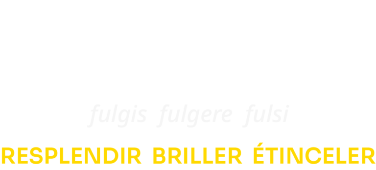 Logo FULGO Blanc